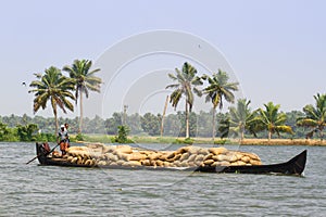 Allepey, Kerala, India Ã¢â¬â March 31, 2015: Indian man transport dwell with rice for boats. backwaters canoe in state